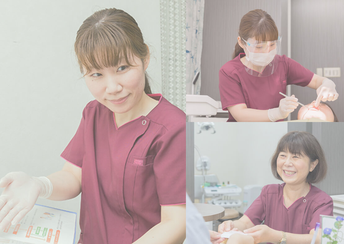 採用情報